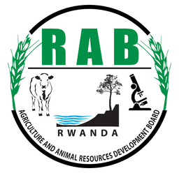 RAB